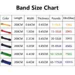 Resistance Band Heavy Duty Latex Sports Elastic Belt Pull Up Assist Bands For Pilates Workout Out Fitness Shape Body Home Gym - Imagine 6