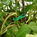 Reusable Adjustable Plastic Plant Cable Ties for Garden Vines, Trees, and Shrubs Support, Locking Nylon Zipper Organizer Tools - Imagine 3