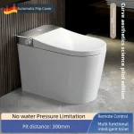 Smart Toilet Built in Water Tank Toilet Heated Seat Elongated Toilet Night Light Built-in Automatic Flip Cover Bidet Seat - Imagine 2