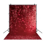 Valentine's Day Photography Backdrop February 14th Dreamy Angel Wing Red Rose Glitter Love Heart Adult portrait Photo Background - Imagine 3