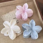 Korean Hawaiian Gradient Flower Hair Claw Clip For Women Girl Fashion Plastic Non Slip Hold Hairpin Barrette Hair Accessories - Imagine 2