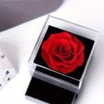 Elegant Infinity Heart Shape Pendant Necklace With Luxury Rose Gift Box For Girlfriend Wife Christmas Valentine Anniversary Gift - Imagine 5